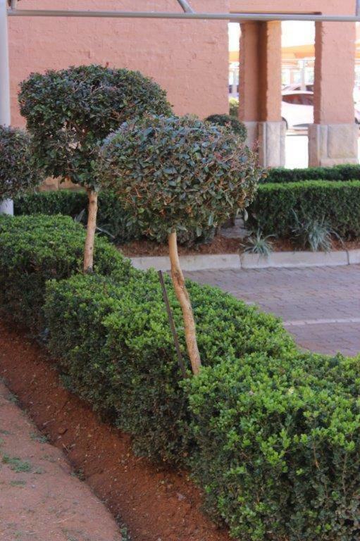 Apartmán Reliwave Pty Ltd Bloemfontein Exteriér fotografie
